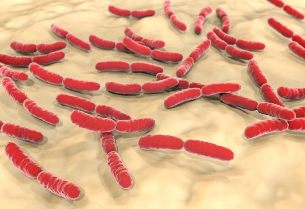 Imagem de microscópio da vaginose